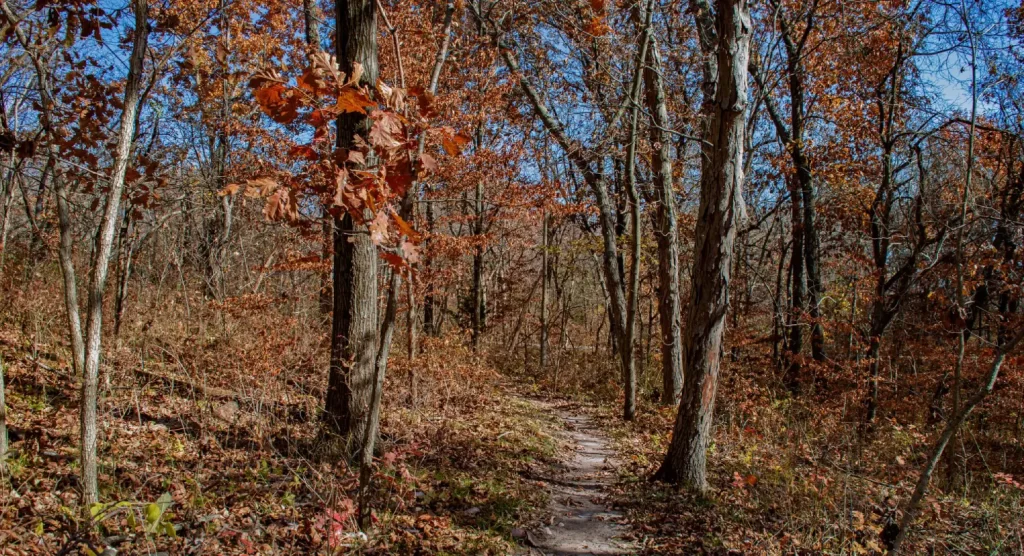 trails around Smithville Lake during the fall